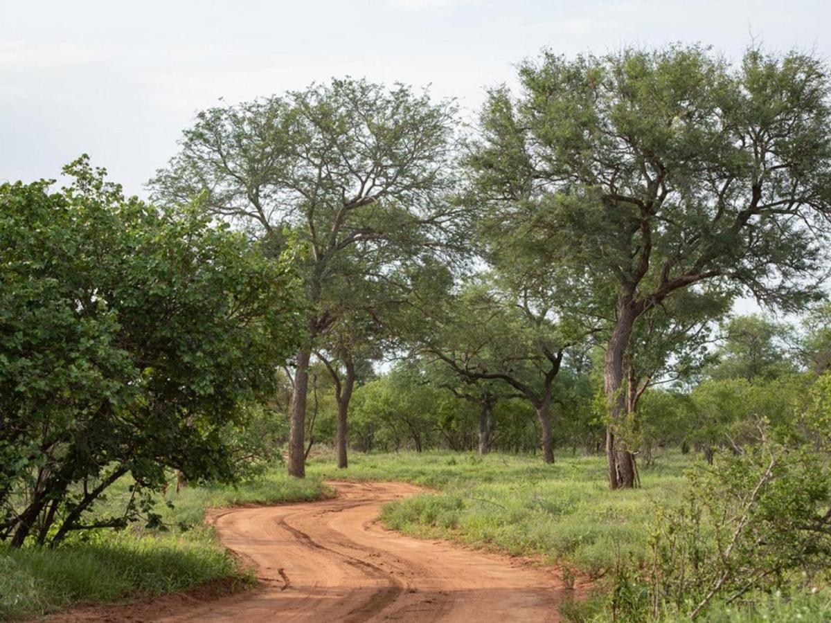Ujabule Lodge Hoedspruit Exteriör bild